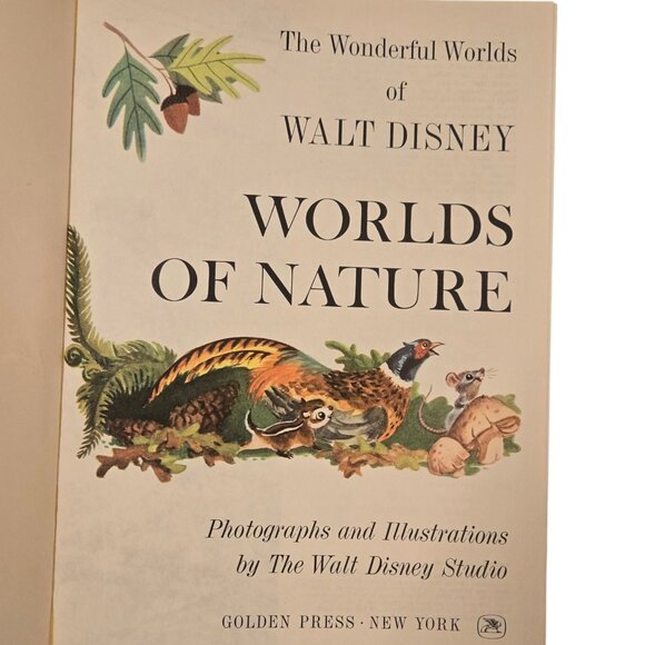 Walt Disney Boxed Book Set The Wonderful Worlds Of 1965 READ - Picture 6 of 16